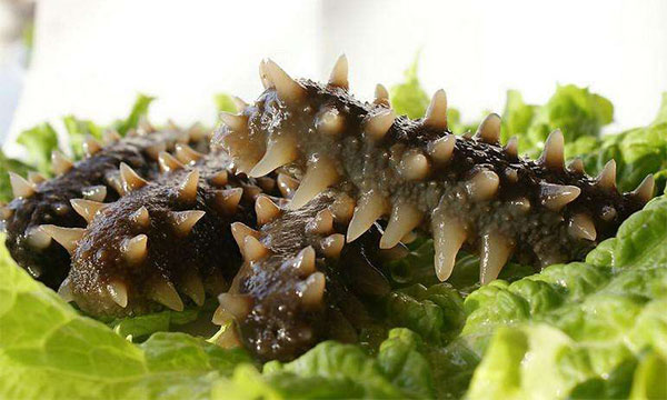 ʲô�˲��ܳԺ��� ���ں��εĽ�����Ⱥ